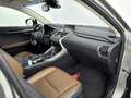Lexus NX 300h AWD President Line | Mark-Levinson | Trekhaak | 36 Grau - thumbnail 27