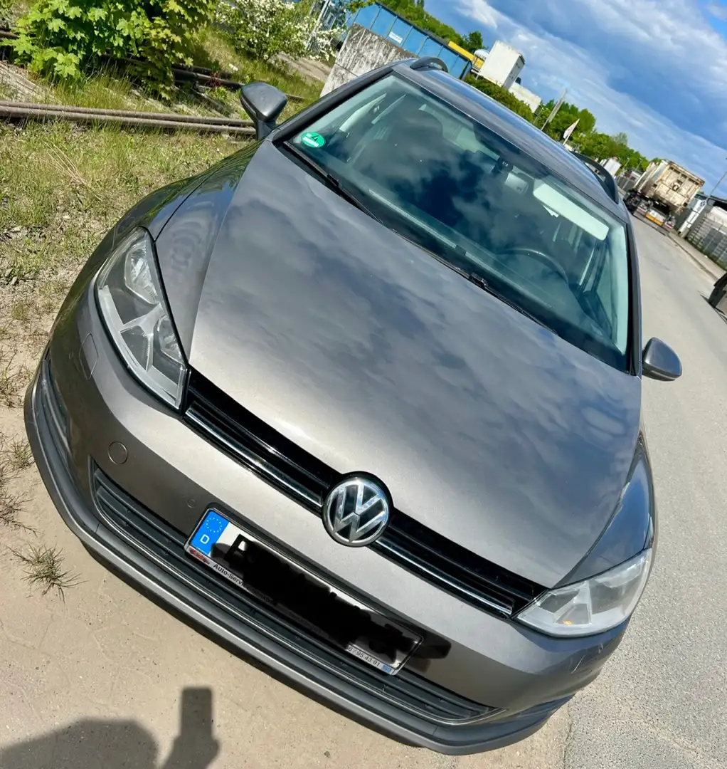 Volkswagen Golf Variant Golf Variant 1.6 TDI 4Motion BlueMotion Technology Beige - 1