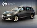 Skoda Fabia Style TSI Grau - thumbnail 1
