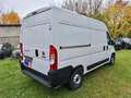 Fiat Ducato 2.2 D L2H2 3,3t KLIMA PDC 3SITZE CARPLAY Weiß - thumbnail 7