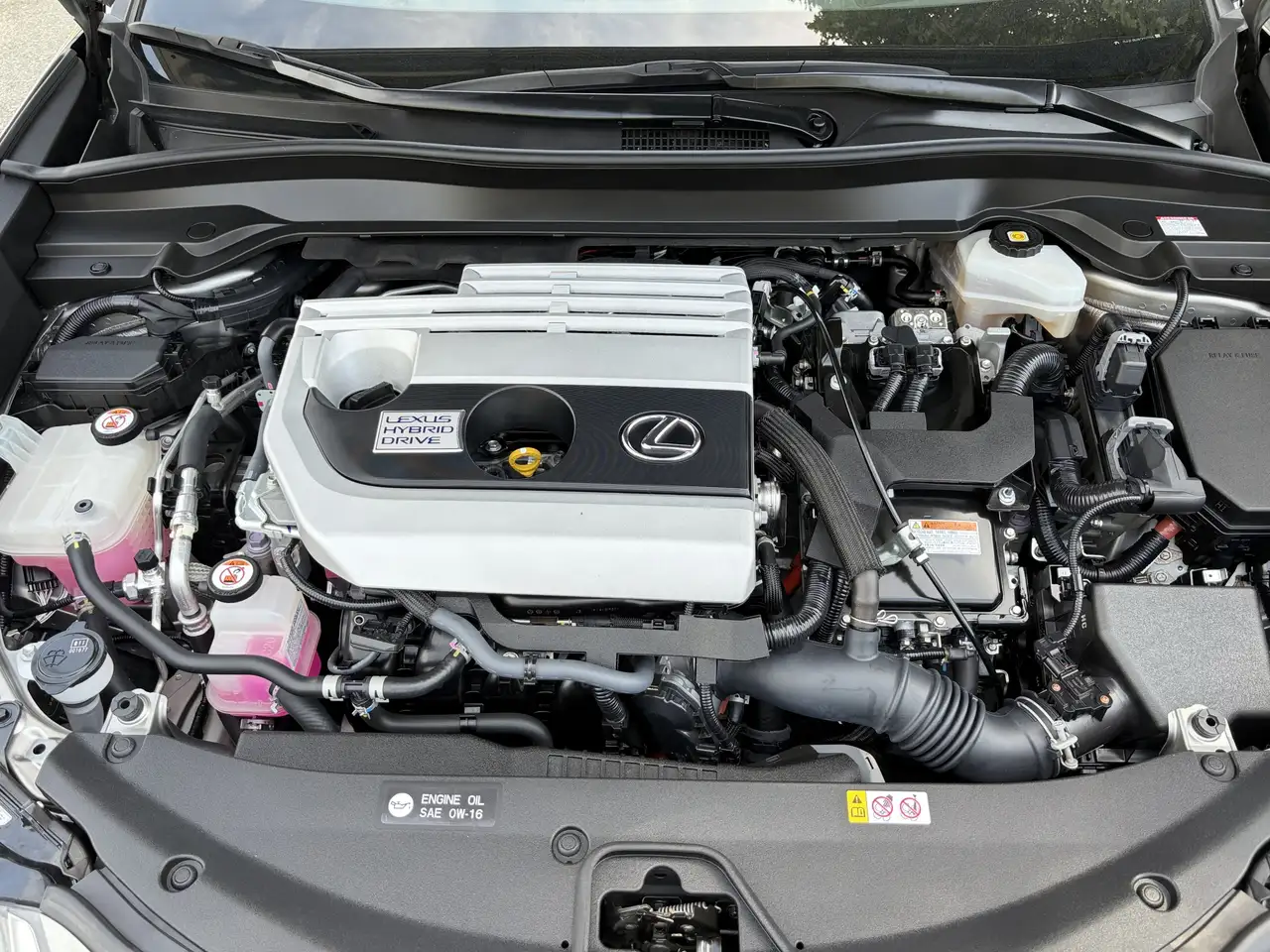 Lexus UX photo Lexus UX