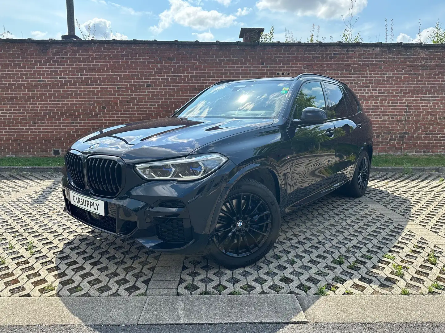 BMW X5 X5 xDrive30d - M-Sport - Lichte Vracht/ Utilitaire Noir - 1