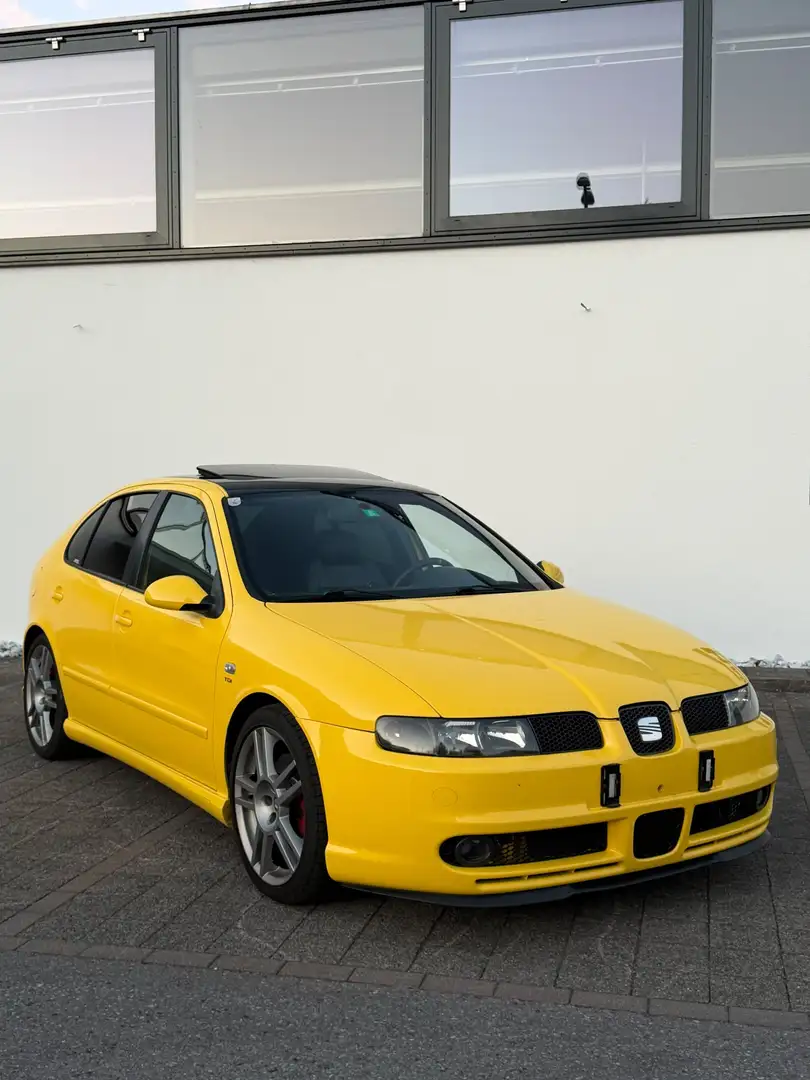 SEAT Leon Leon4 1,9 TDI PD Cupra 4x4 - 1
