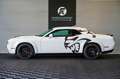 Dodge Challenger 3.6L SXT /WIDEBODY/RÜCKFAHRKAMERA Blanc - thumbnail 4