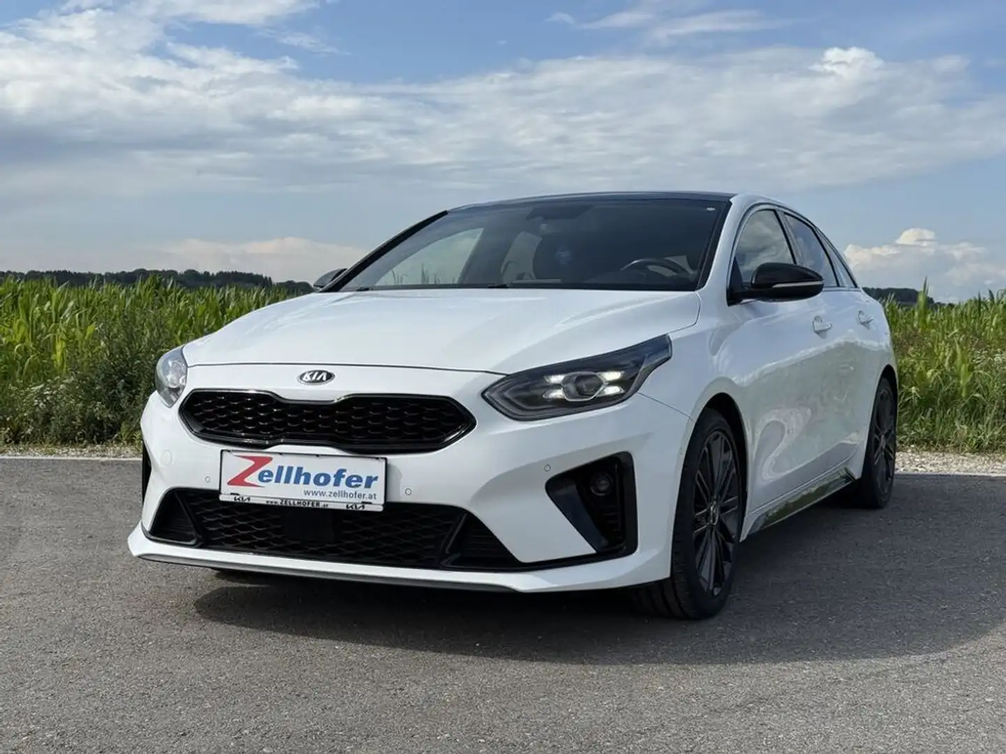 Kia ProCeed / pro_cee'd 1,6 CRDi SCR GT-Line DCT Aut. Weiß - 2