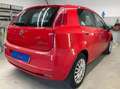 Fiat Punto Punto 5p 1.4 16v Dynamic Roşu - thumbnail 6