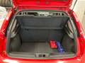 Fiat Punto Punto 5p 1.4 16v Dynamic Roşu - thumbnail 5