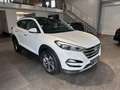 Hyundai TUCSON Premium 4WD *LEDER, PANO, AHK, RFK, DAB* Blanc - thumbnail 19