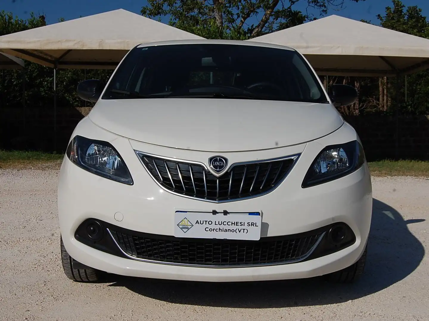 Lancia Ypsilon 1.0 firefly hybrid Platino 70cv con soli 8960km Blanc - 2