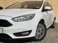 Ford Focus Lim. CDTI/Navi/Tempomat/Klima/PDC/Automati Weiß - thumbnail 18