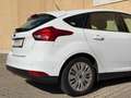 Ford Focus Lim. CDTI/Navi/Tempomat/Klima/PDC/Automati Weiß - thumbnail 21