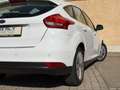 Ford Focus Lim. CDTI/Navi/Tempomat/Klima/PDC/Automati Weiß - thumbnail 19