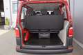 Volkswagen T6 Kombi KR 2,0 TDI 4Motion / NETTO: 24.150 € Rot - thumbnail 19
