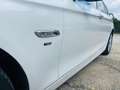 BMW 525 Bianco - thumbnail 6
