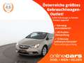 Opel Cascada Cabrio 1.4 Turbo ecoFlex NAVI SITZHZG PDC Gold - thumbnail 1