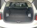Kia Sorento Spirit Allrad Plug-In Hybrid Navi Panoramadach LED Weiß - thumbnail 5