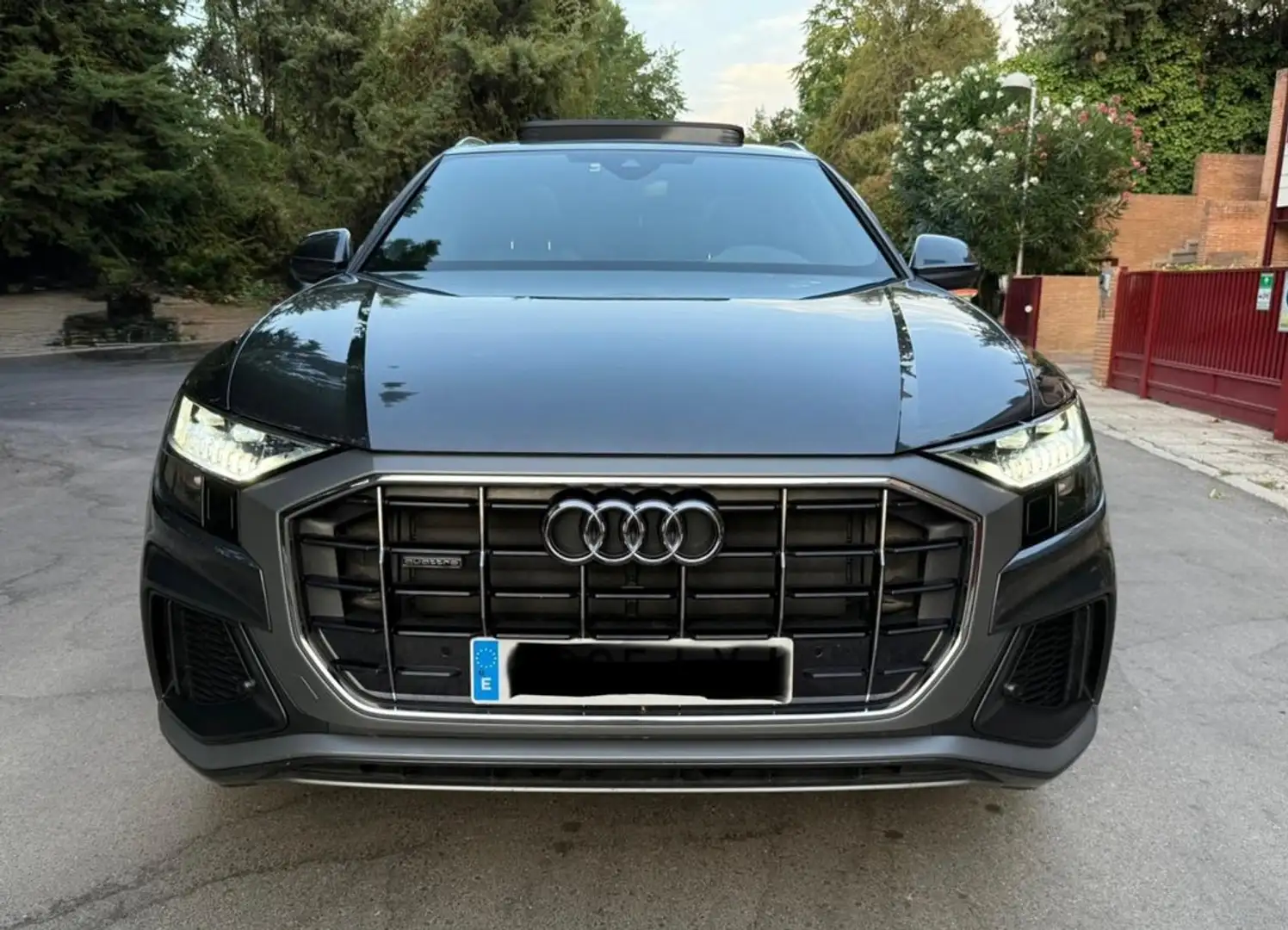 Audi Q8 50 TDI 210kW S Line Plus quattro tip Gris - 2