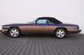 Jaguar XJS Cabrio 2 Jahre Garantie Braun - thumbnail 4