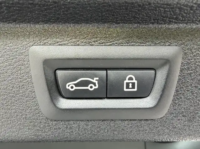 BMW X5 view 28