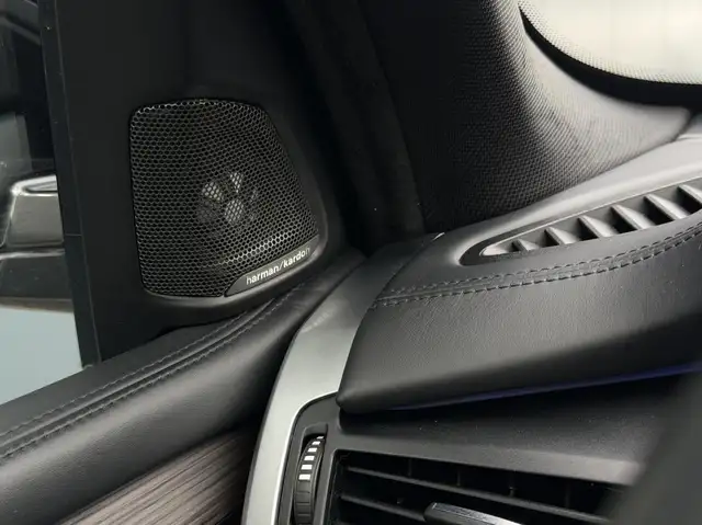 BMW X5 view 23