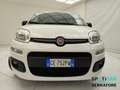 Fiat Panda II Van 2003 van 1.2 Dynamic 60cv 4p.ti Bianco - thumbnail 2