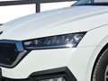 Skoda Octavia Ambition TDI Blanc - thumbnail 7
