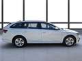 Skoda Octavia Ambition TDI Blanc - thumbnail 3