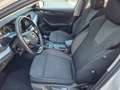Skoda Octavia Ambition TDI Blanc - thumbnail 11