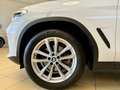 BMW X4 xDrive 20dA Blanco - thumbnail 11