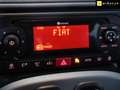 Fiat Panda 1.0 Gse City Live Hybrid Blanco - thumbnail 15
