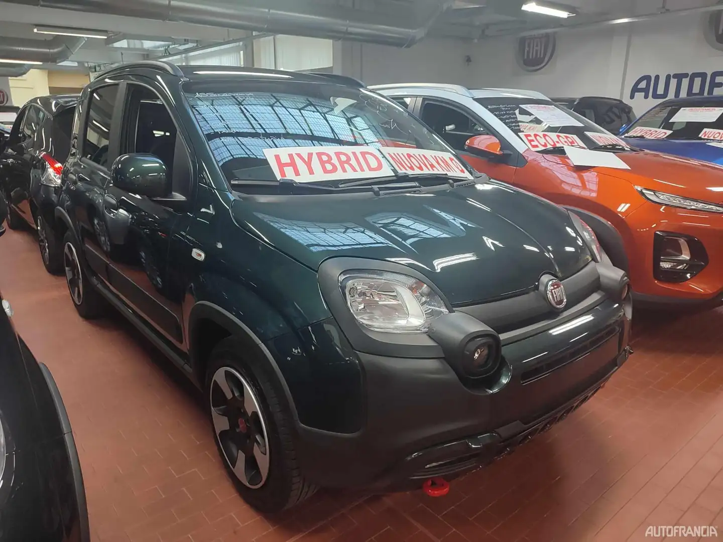 Fiat PANDA - 1.0 HYBRID 70CV CROSS zelena - 2