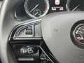 Skoda Kodiaq Ambition Soleil 4x4 Kamera AHK Standheiz Grau - thumbnail 24