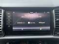 Skoda Kodiaq Ambition Soleil 4x4 Kamera AHK Standheiz Grau - thumbnail 21