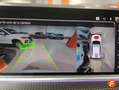 BMW X5 xDrive 25dA Blanco - thumbnail 18