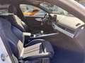 Audi A4 Avant 35 TDI S line Blanco - thumbnail 22