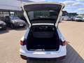Audi A4 Avant 35 TDI S line Blanco - thumbnail 19