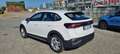 Volkswagen Taigo 1.0 TSI 110 CV Life Bianco - thumbnail 7