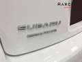 Subaru XV 2.0i Hybrid CVT Executive Plus Blanco - thumbnail 43