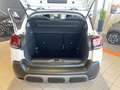 Citroen C3 Aircross AC|SHZ|CarPlay|Einparkhilfe|LED Weiß - thumbnail 16