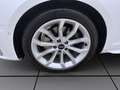 Audi A4 Avant 30 TDI S LINE PANO MATRIX NAVI PDC Weiß - thumbnail 8