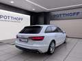 Audi A4 Avant 30 TDI S LINE PANO MATRIX NAVI PDC Weiß - thumbnail 5
