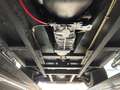 Shelby Sonstige Backdraft - thumbnail 49