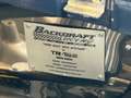 Shelby Sonstige Backdraft - thumbnail 20