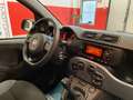 Fiat Panda 1.2 Easy 69 cv Arancione - thumbnail 14