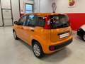 Fiat Panda 1.2 Easy 69 cv Arancione - thumbnail 3