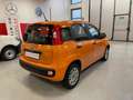 Fiat Panda 1.2 Easy 69 cv Arancione - thumbnail 5