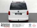 Volkswagen Caddy 2,0 TDI Comfortline AHK*AppCon.*ACC*Kamera Weiß - thumbnail 5