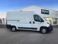 Peugeot Boxer TRASPORTO LATTICINI MOTORE/CAMBIO NUOVI PM-TM Bianco - thumbnail 5