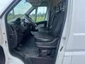 Peugeot Boxer TRASPORTO LATTICINI MOTORE/CAMBIO NUOVI PM-TM Bianco - thumbnail 10