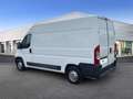 Peugeot Boxer TRASPORTO LATTICINI MOTORE/CAMBIO NUOVI PM-TM Bianco - thumbnail 8